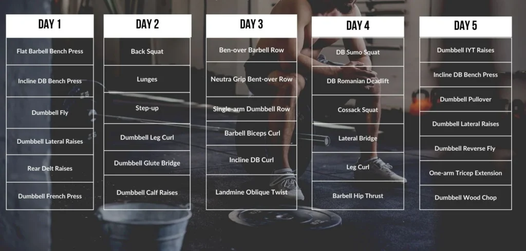 5-Day-Dumbbell-Barbell-Workout-Plan